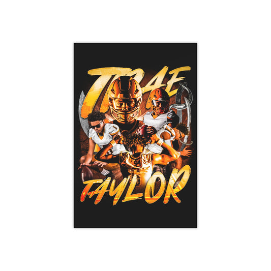 TRAE TAYLOR 24" X 36" VINTAGE POSTER